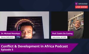 Episode 5 - Peace Keeping Operation and Stabilization Mission in Africa