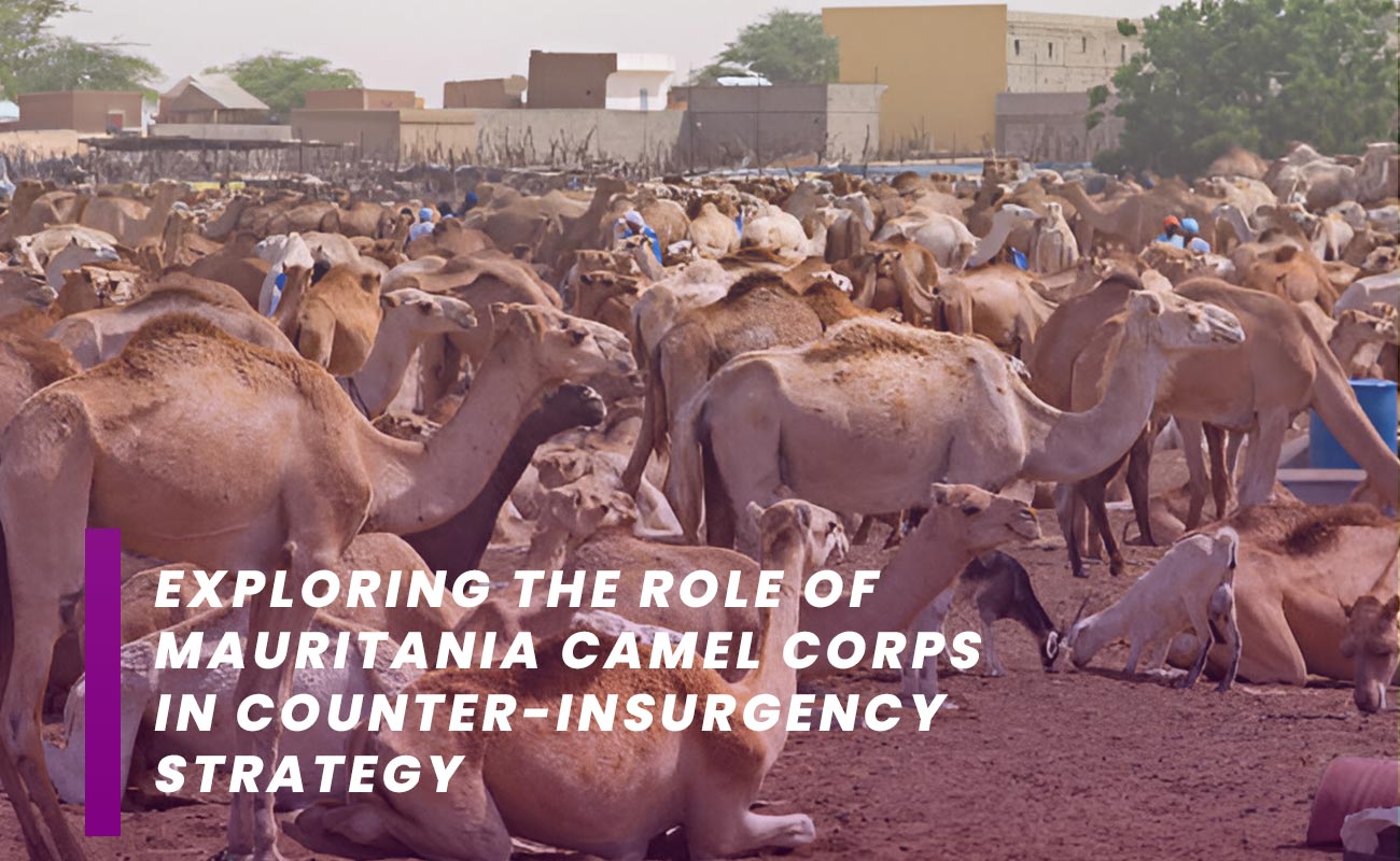 Camel of Intelligence: Exploring the role of Mauritania Camel Corps in Counter-Insurgency Strategy.