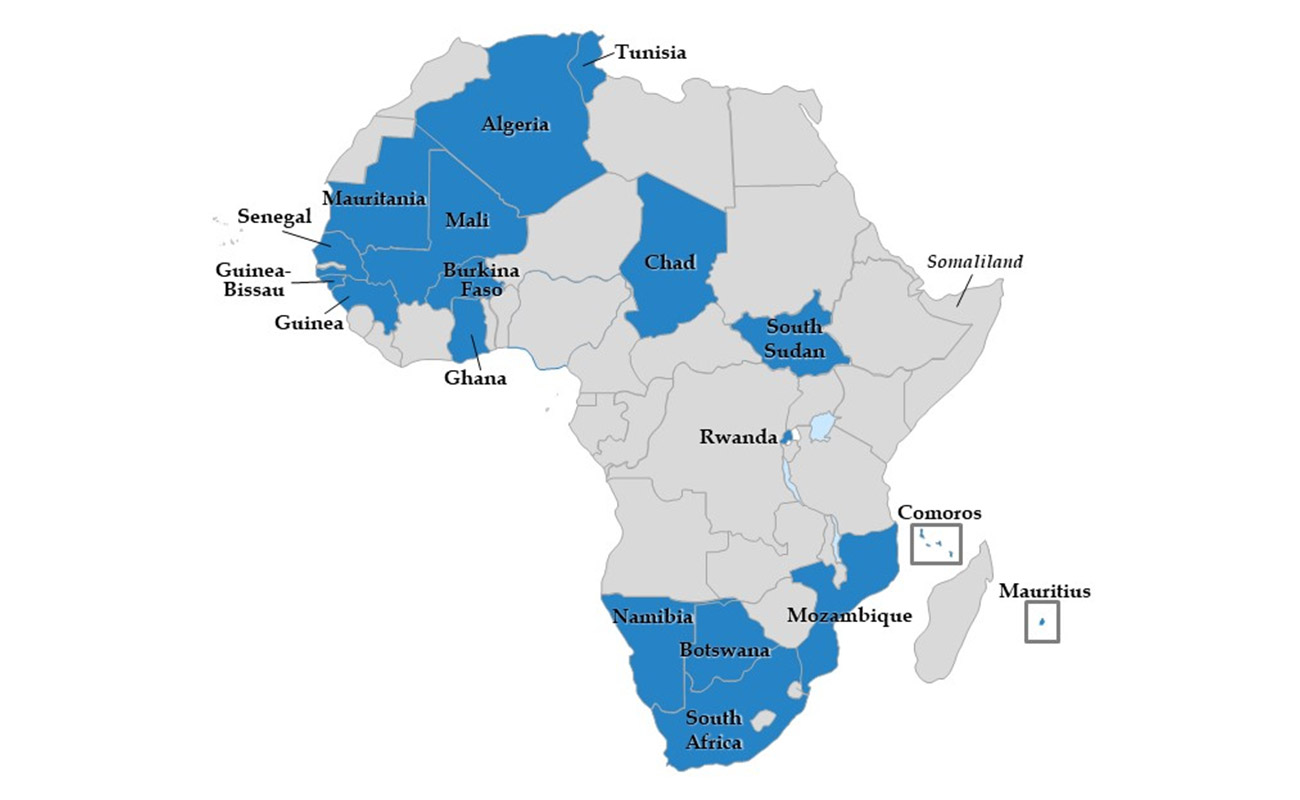 Africa’s 2024 Elections: Unveiling Progress, Challenges, and the Path to Democratic Accountability