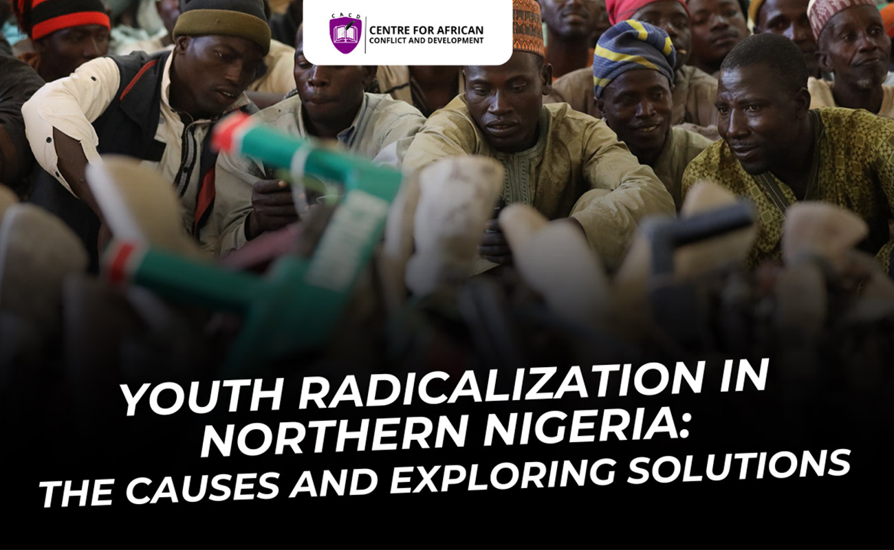 Youth Radicalization in Northern Nigeria: Unpacking the Causes and Exploring Solutions