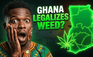 Episode 122 - Cannabis Legalisation in Ghana